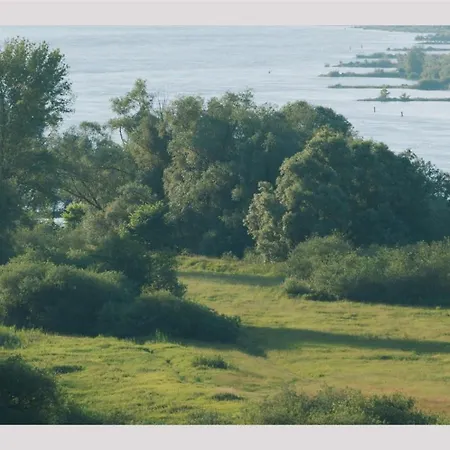 Nyaraló Tiny House Im Gruenen 201 - Terrasse, Wlan Und Wiesenblick *